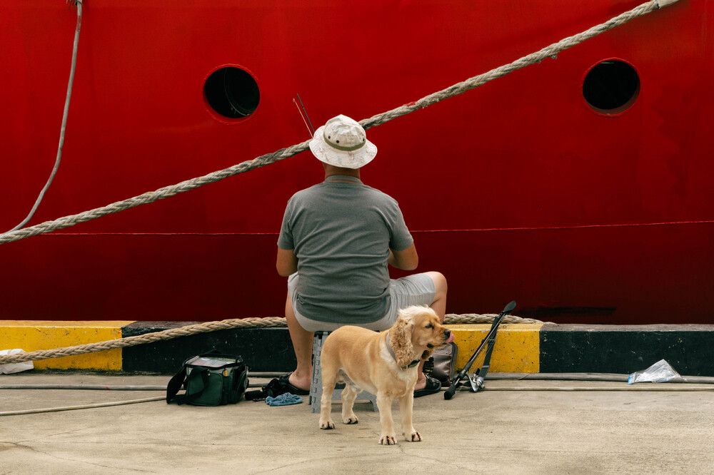 Photograph by Alesia Karpeichik