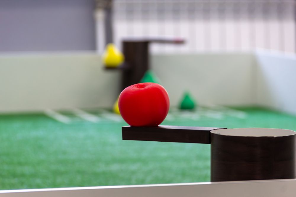 Photograph by Елизавета Колесникова