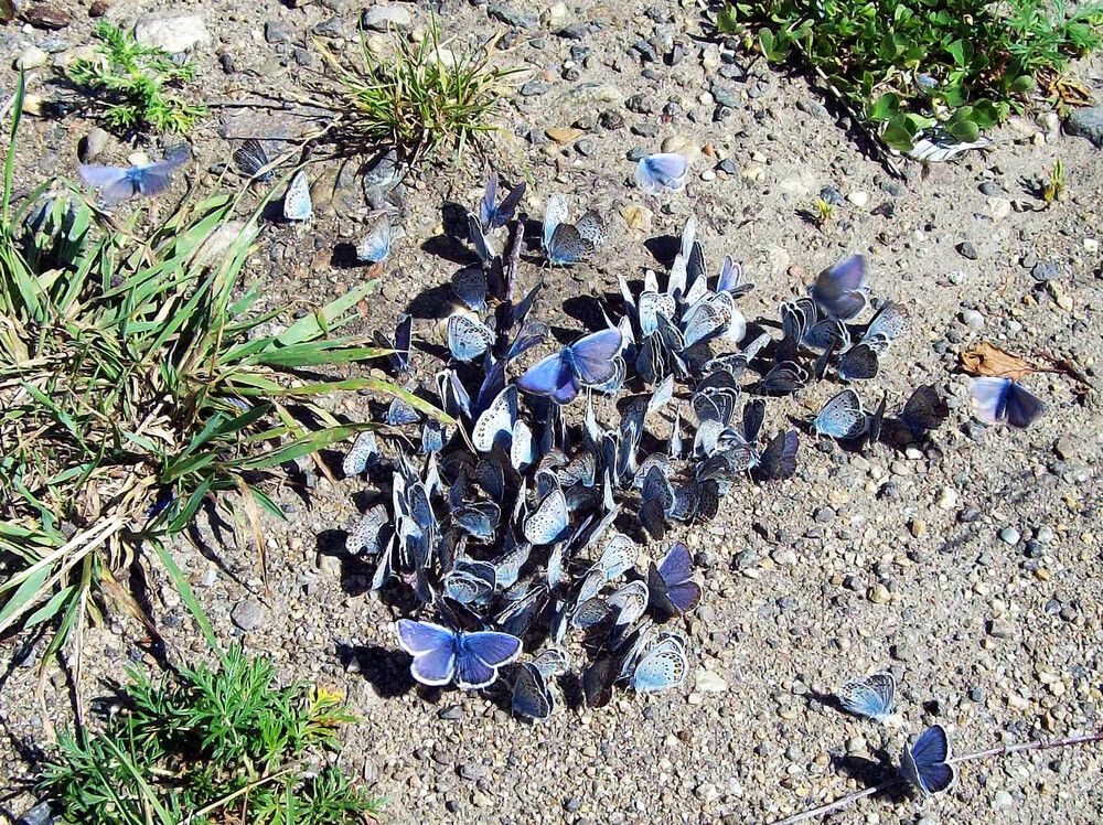 Photograph by Мигун Александра