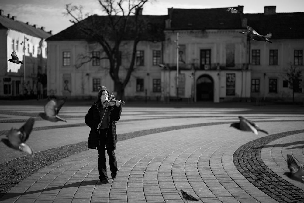 Photograph by Alexandru Tomici