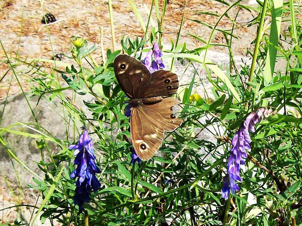 Photograph by Мигун Александра