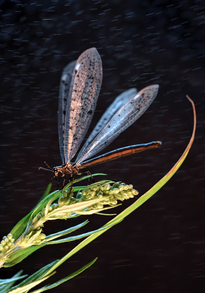 Фотография автора Mashin Rostislav