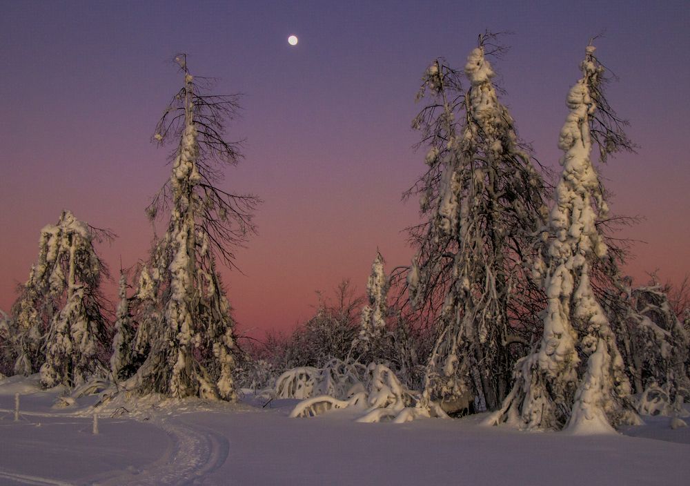 Уходит день