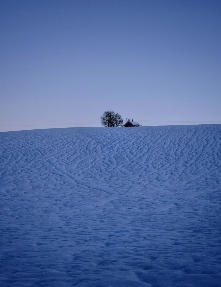 Фотография автора Alina Filimonova