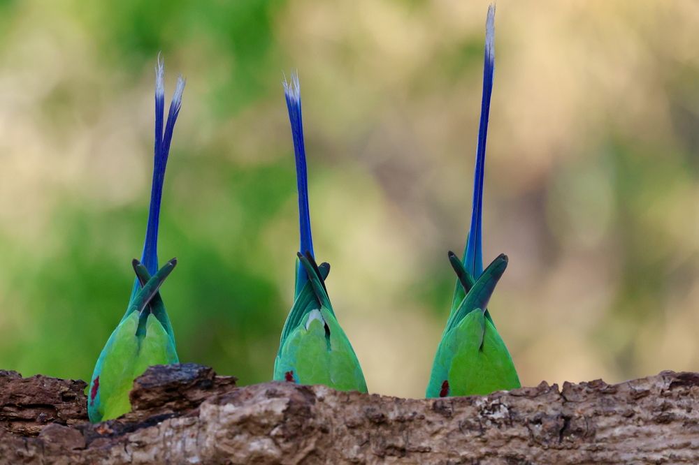 Photograph by Sanjay Risbood