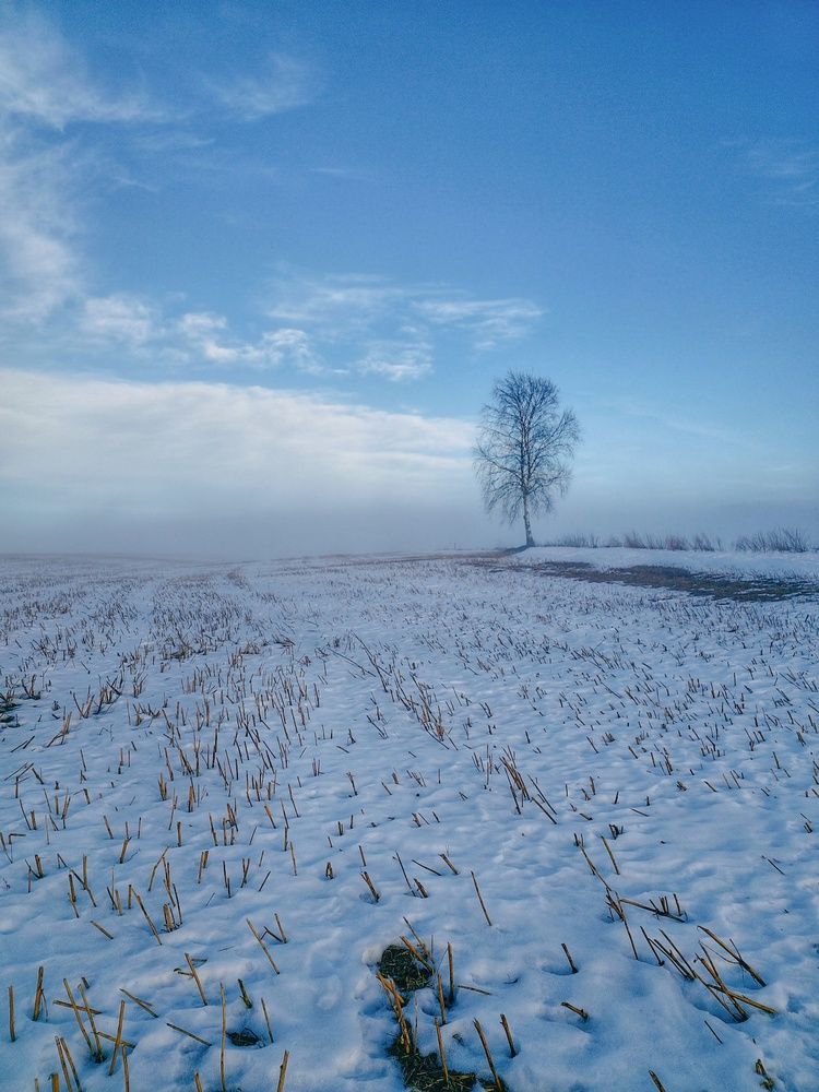 Фотография автора Alina Filimonova