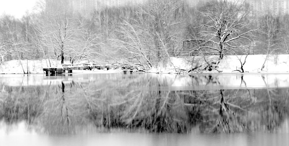 Photograph by Жанна Нечаева