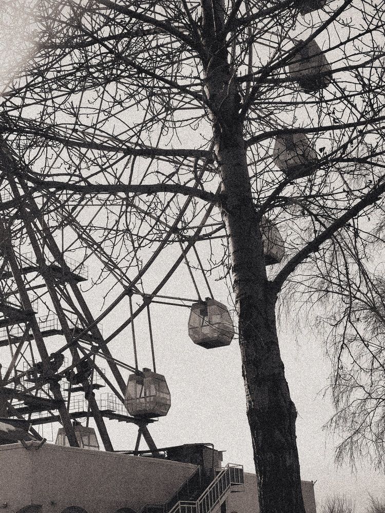 Фотография автора Елена Плешкова