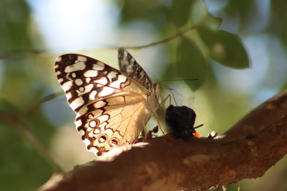 Photograph by Juliana