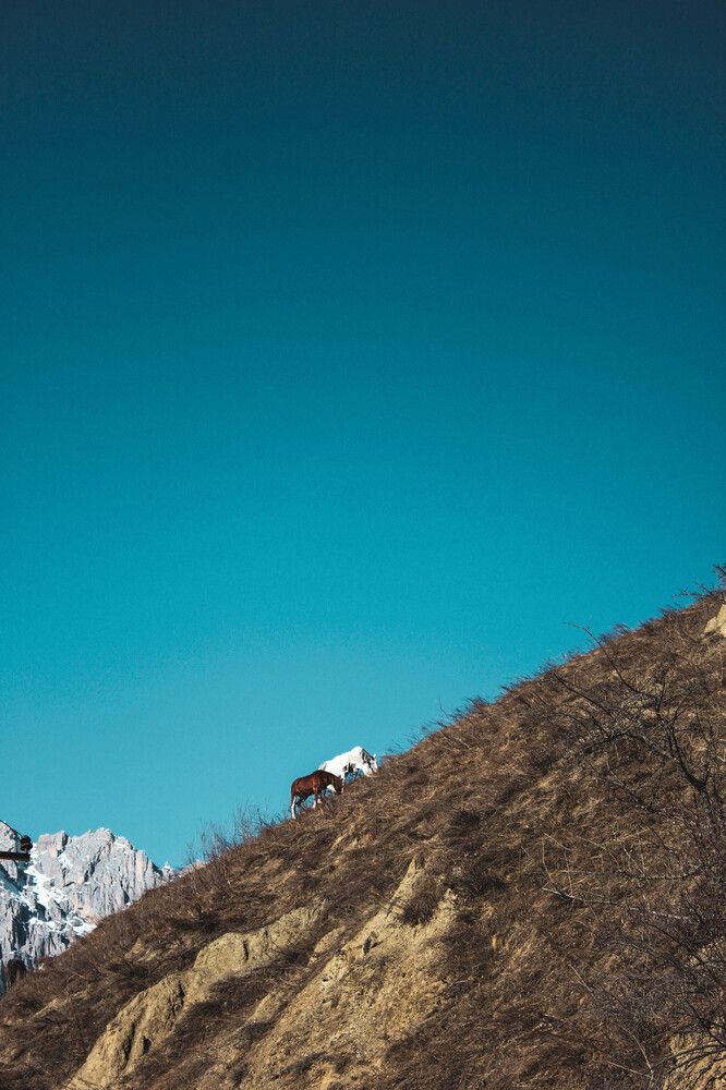 Photograph by Natalia Safronova