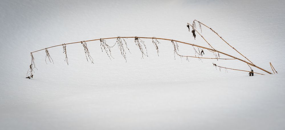 Photograph by Альварис Сукманюк
