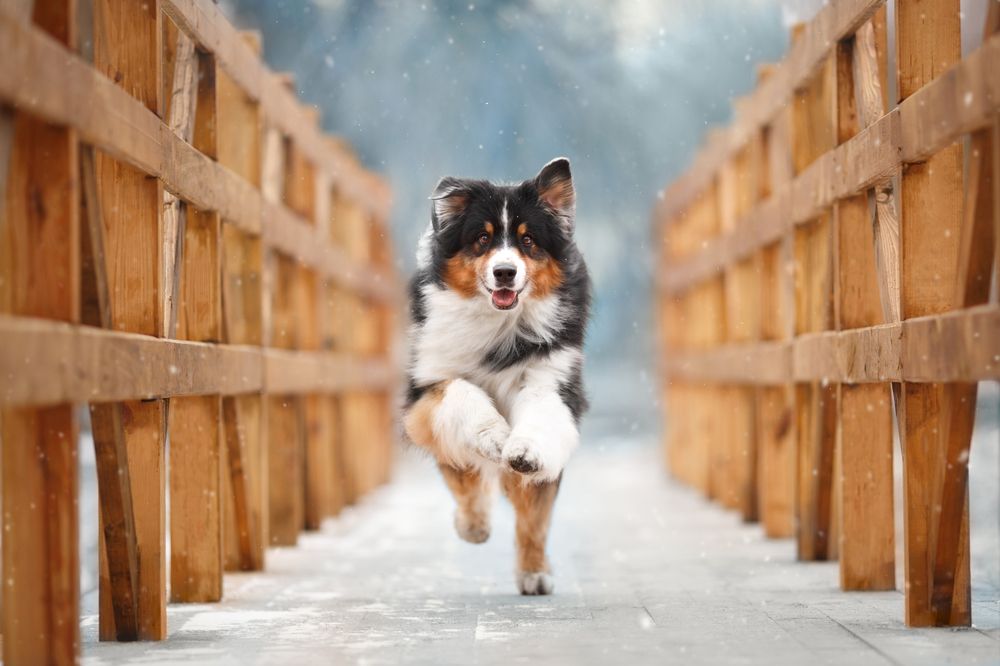 Photograph by Евгения Костусева