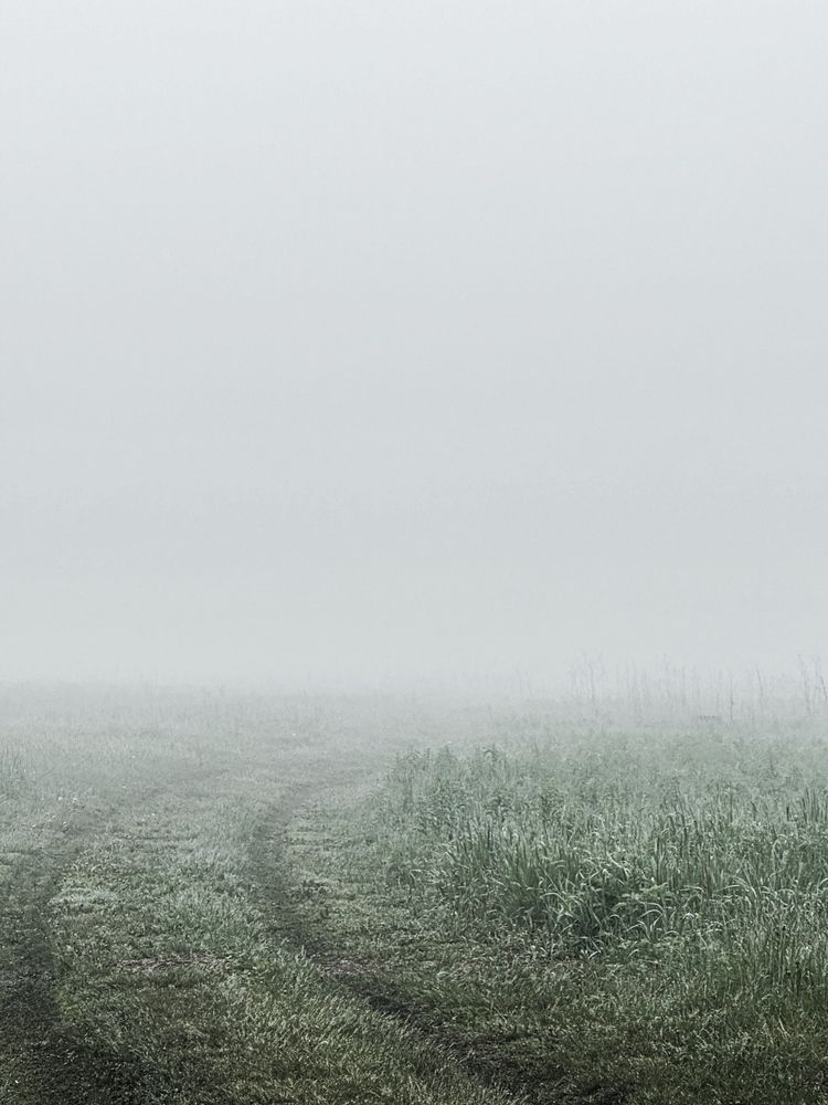 Photograph by Svetlana Tolkunova