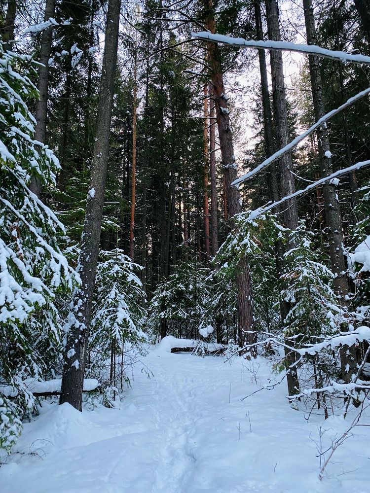 Photograph by Олеся Чистова