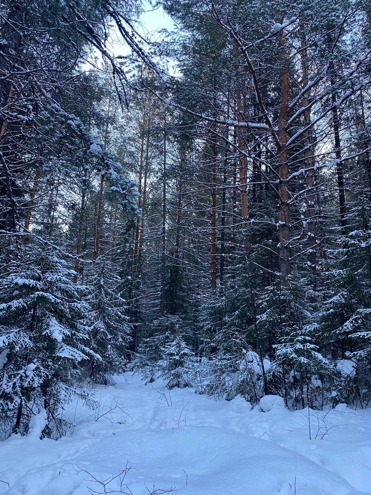 Photograph by Олеся Чистова