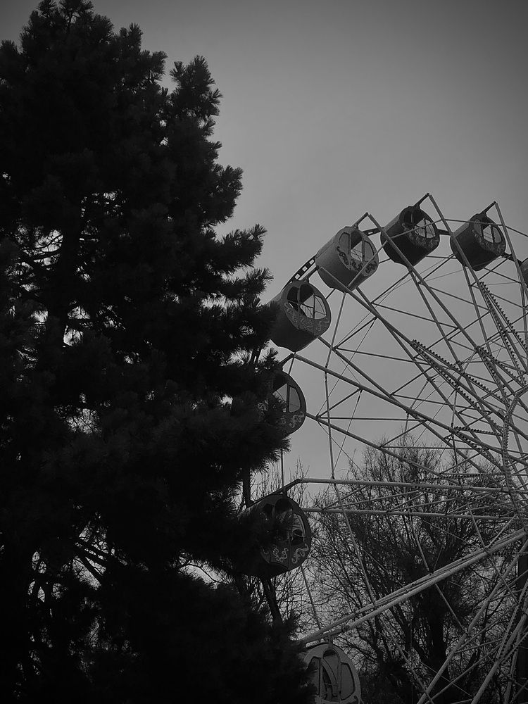 Photograph by Софья Цыбулько