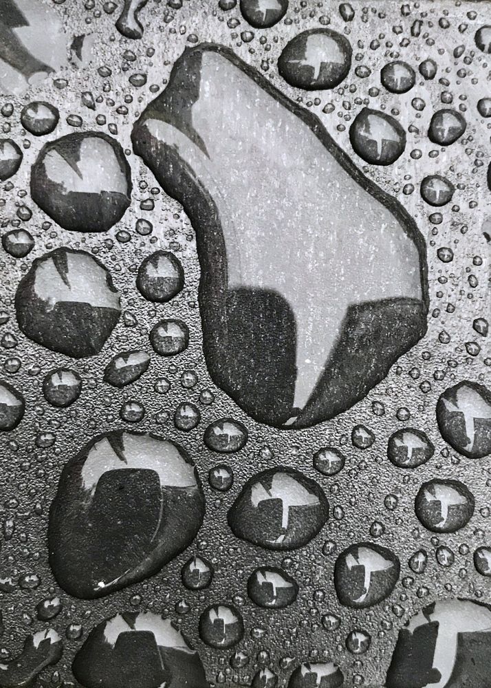 Photograph by Сергей Феофанов