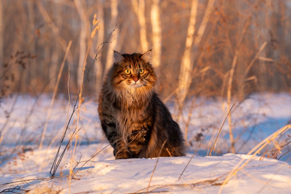 Photograph by Алексей Александрович