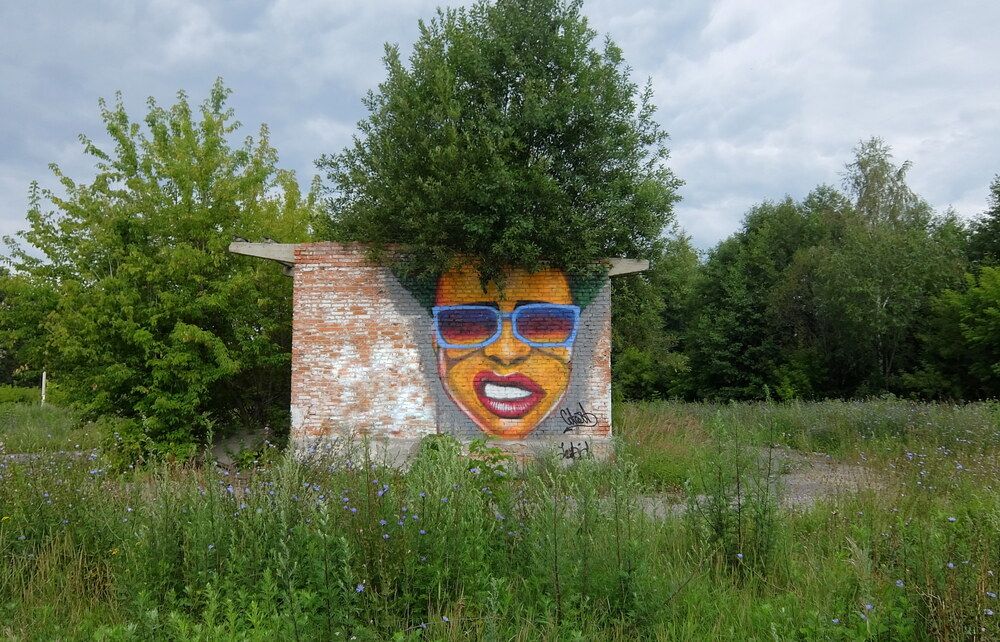 Photograph by Любовь Реутова