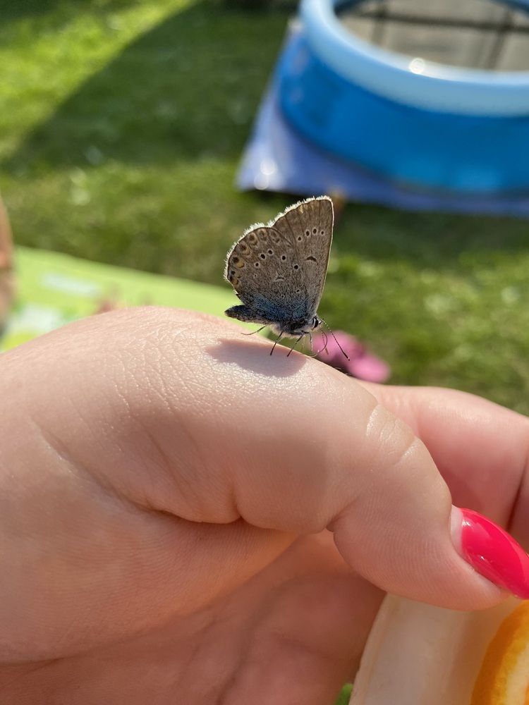 Photograph by Олеся Чистова