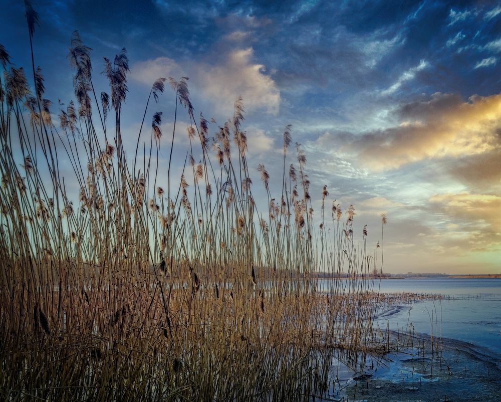 Фотография автора Vladimir Chu