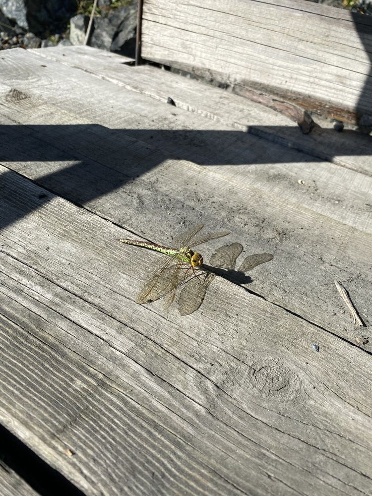 Photograph by Олеся Чистова