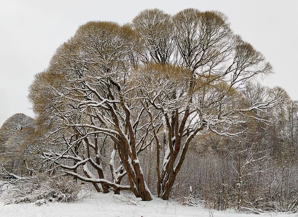 Photograph by Михаил Бояркин