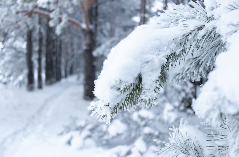 Фотография автора Alexander Pakhomov