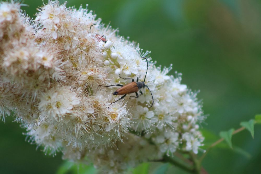 Photograph by Natasha Kim