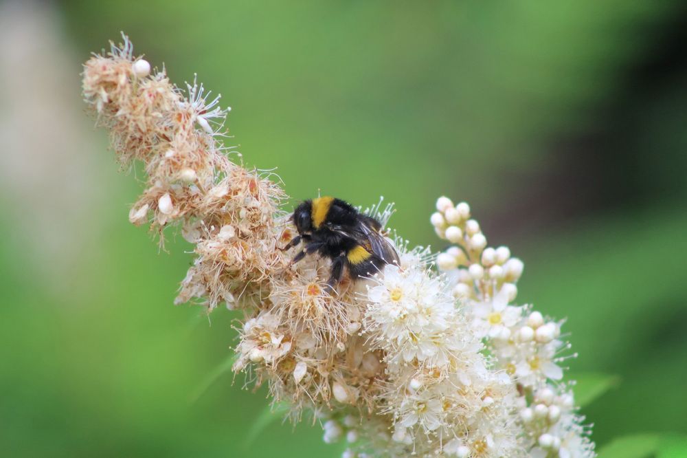 Photograph by Natasha Kim