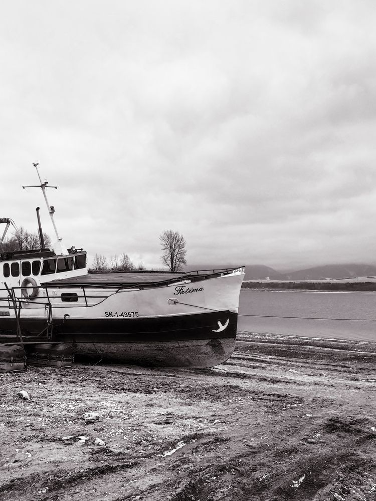 Photograph by Evgenia Korchagova