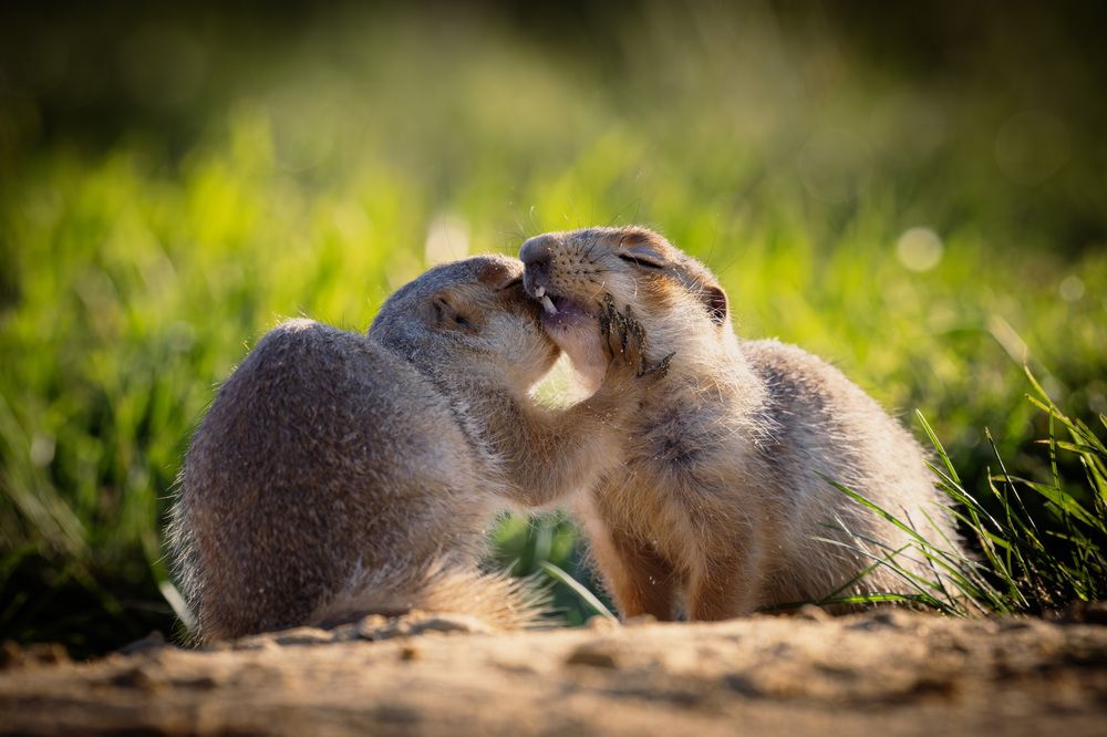 Это наш с тобой секрет...