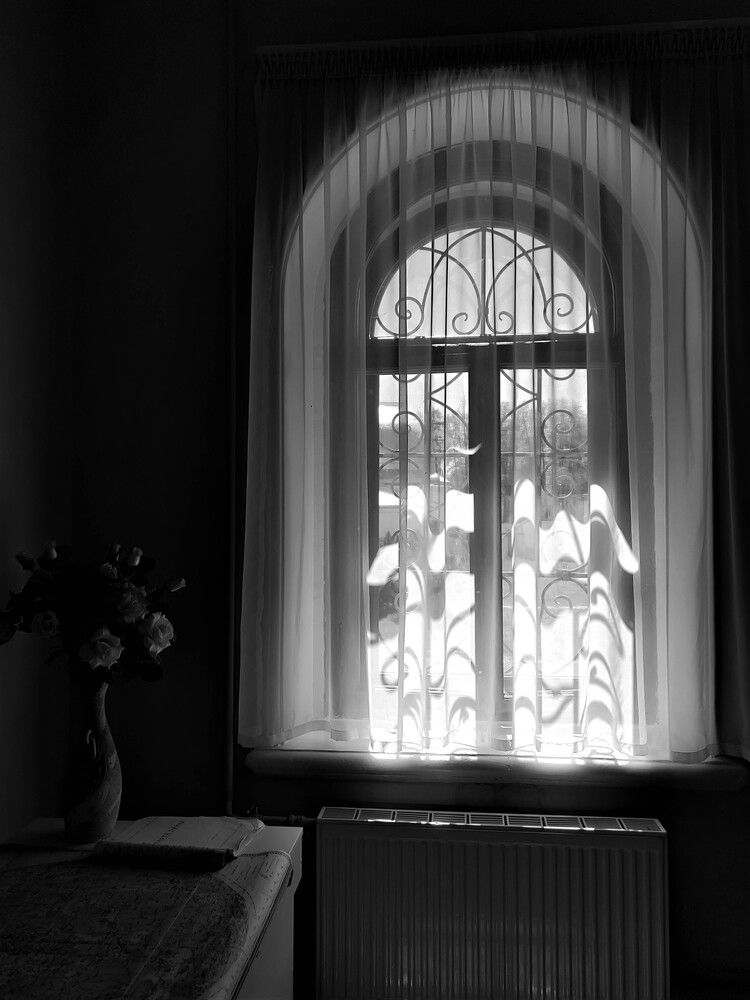 Photograph by Наталья Веряскина