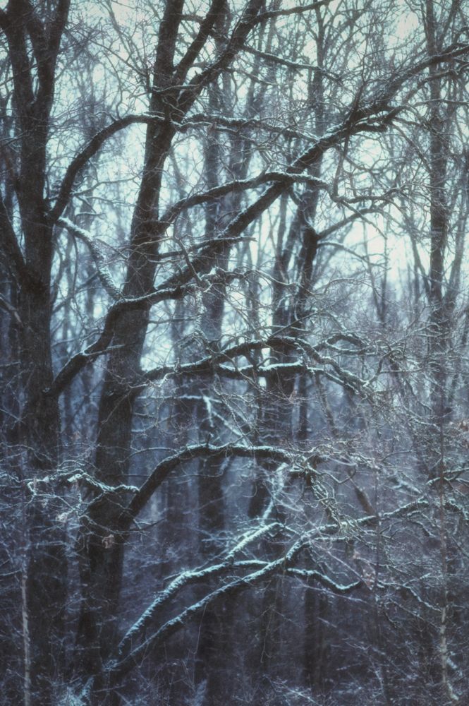 Photograph by Альбина Вакунова