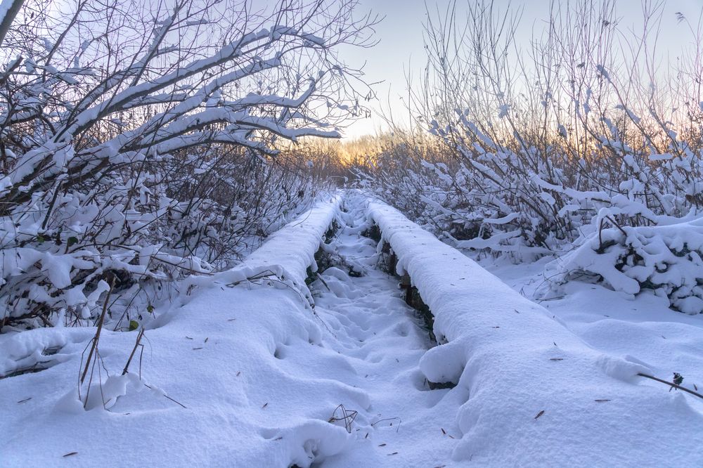 Фотография автора Alexander Pakhomov