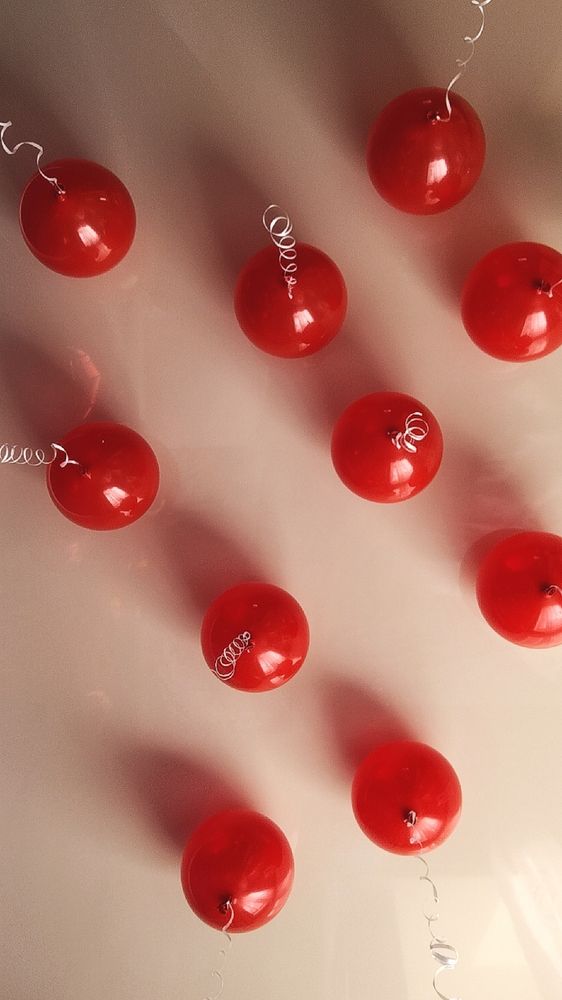 Фотография автора Анна Морозова