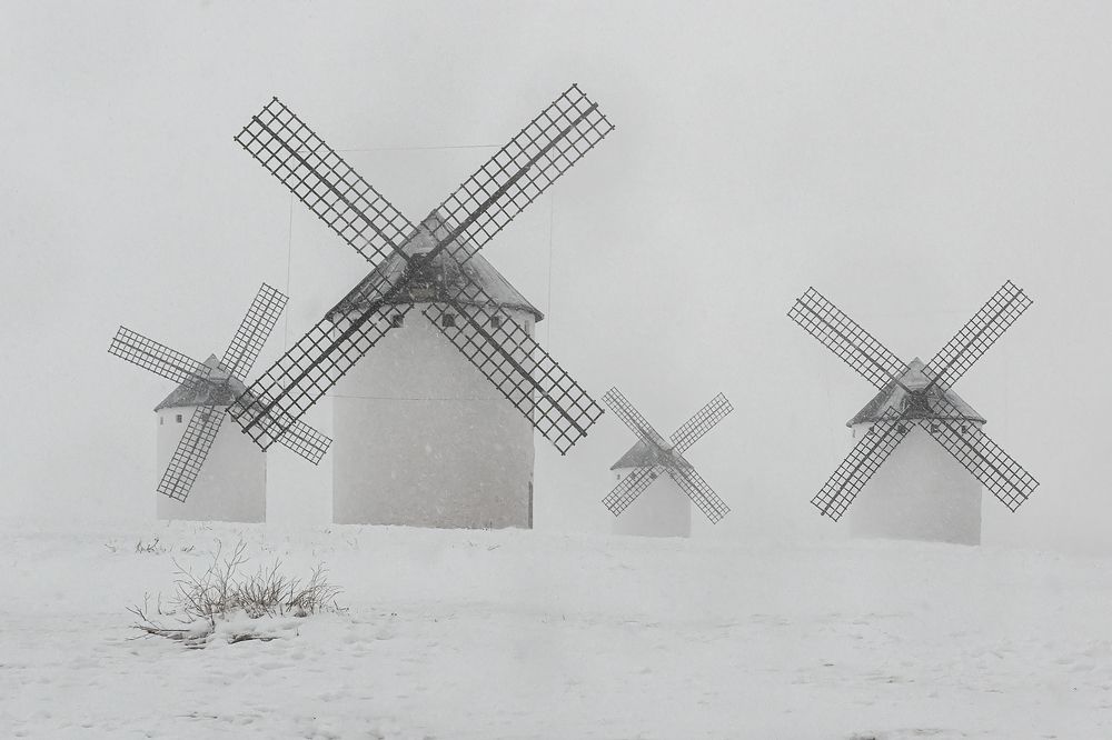 Photograph by Jesús Manzaneque