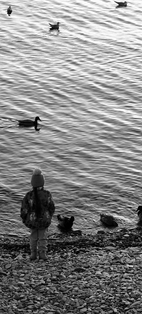 Photograph by Мария Тимерханова