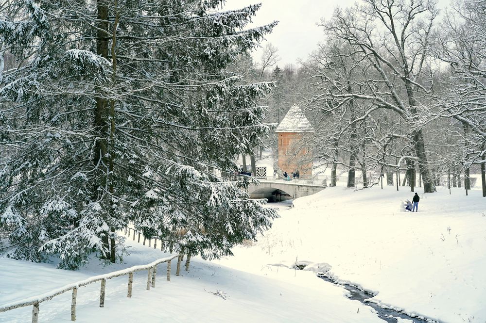 Photograph by Елена