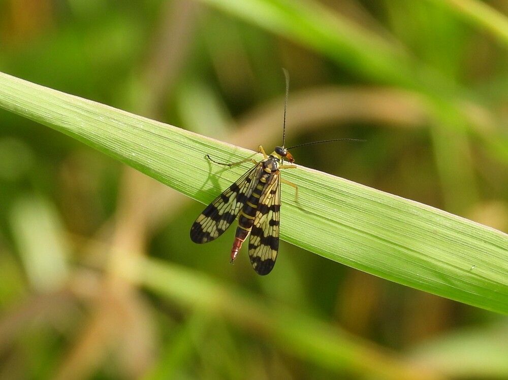 Photograph by Владимир Джерихов
