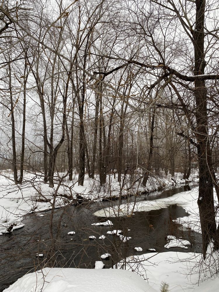 Photograph by Олеся Чистова