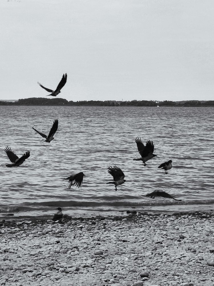 Photograph by Evgenia Korchagova