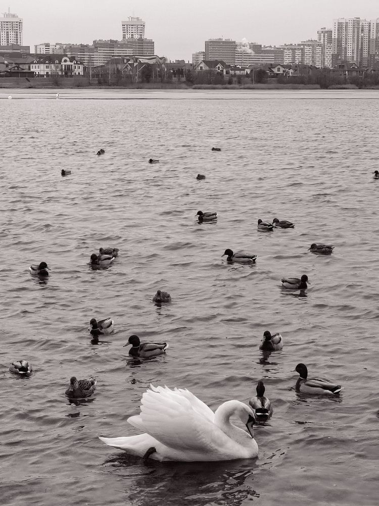 Photograph by Evgenia Korchagova