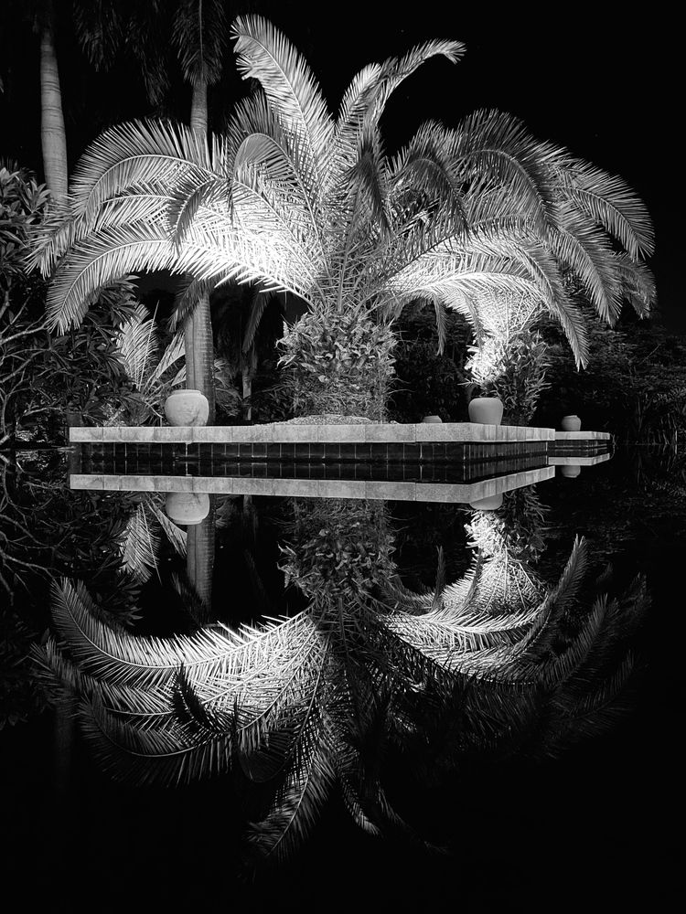 Photograph by оксана