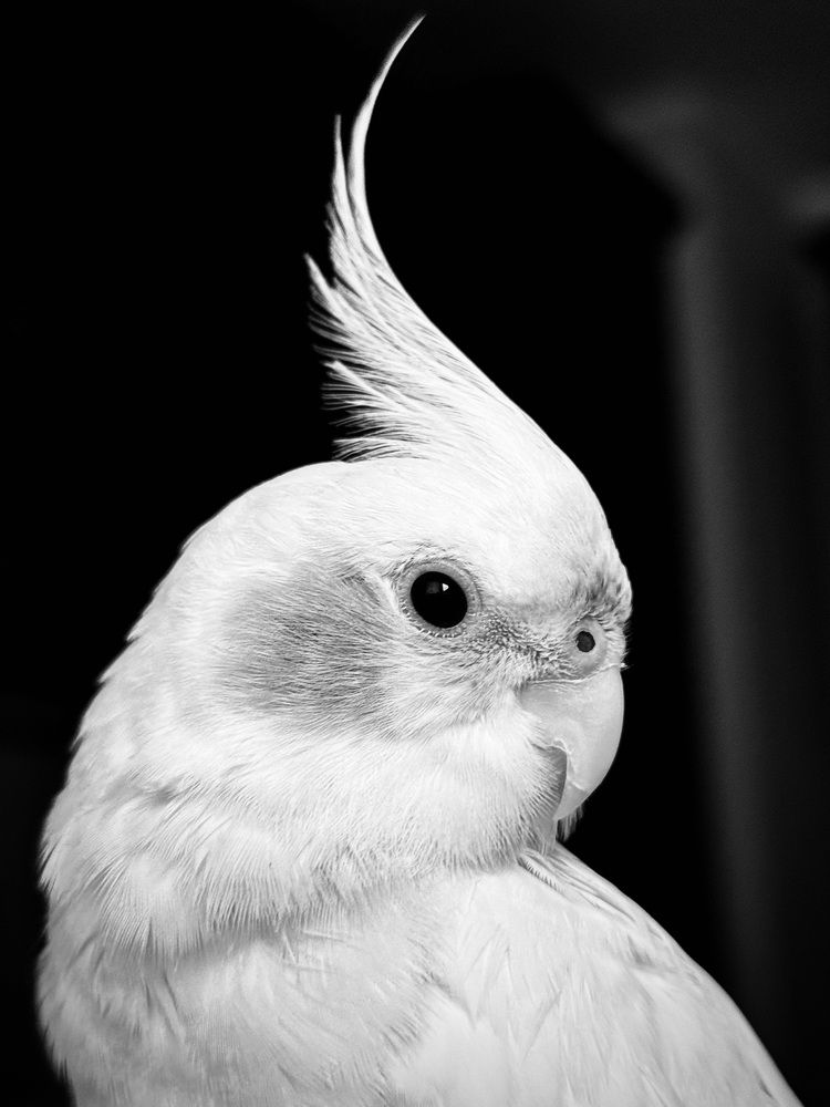 Photograph by Ольга Черепанова