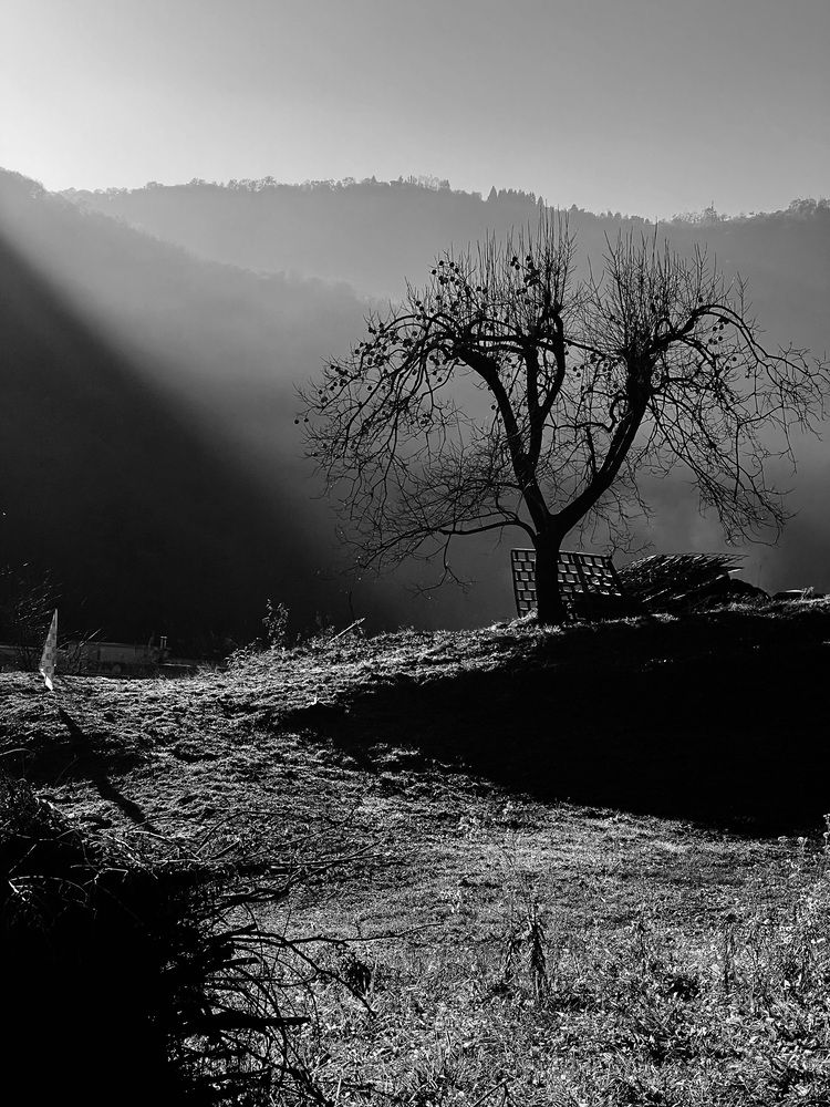 Photograph by Ольга Черепанова