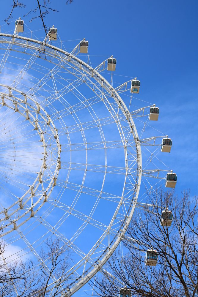 Photograph by Светлана Шуткова