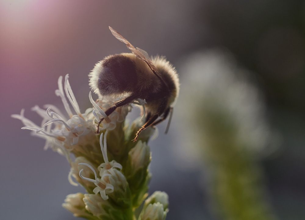 Фотография автора Ekaterina Palant
