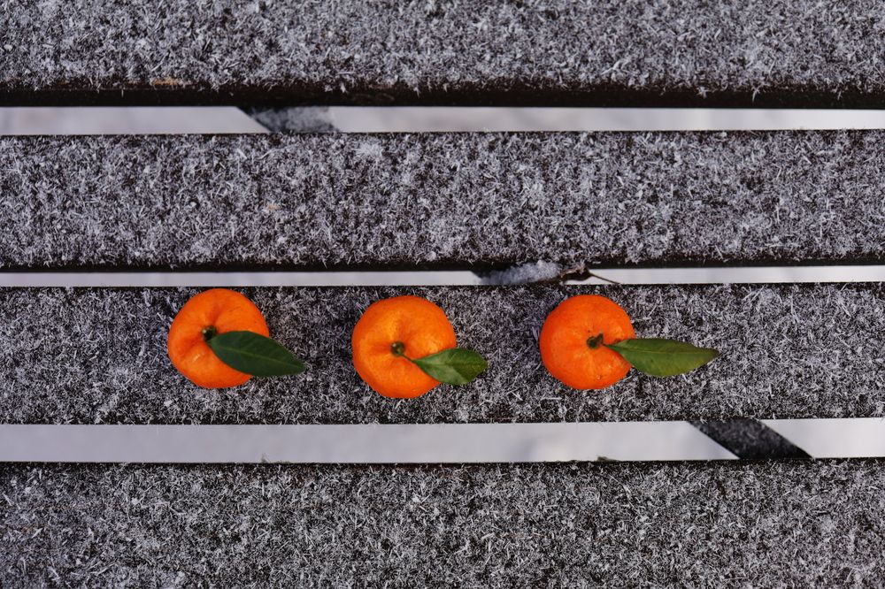 Photograph by Наталья Адалинская