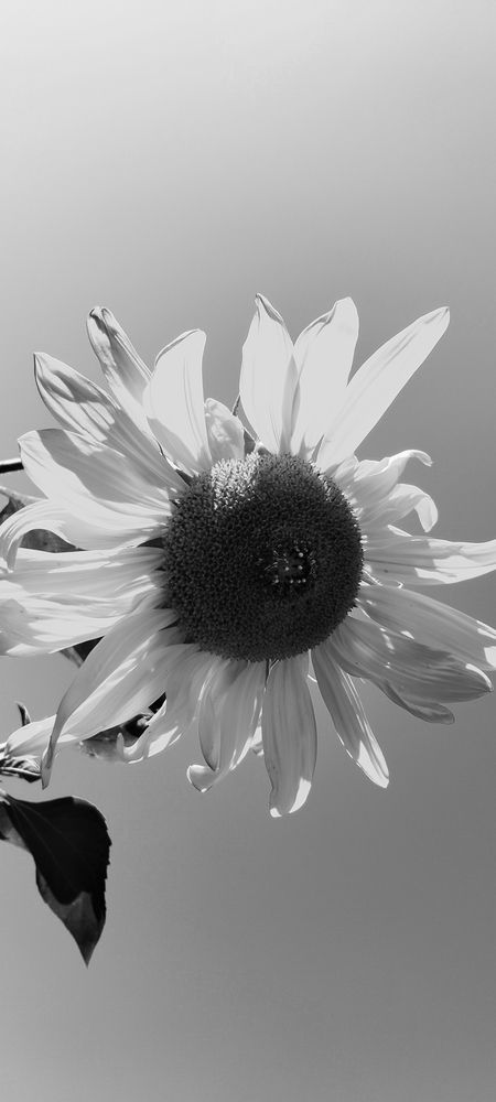 Photograph by Ishaq Karim